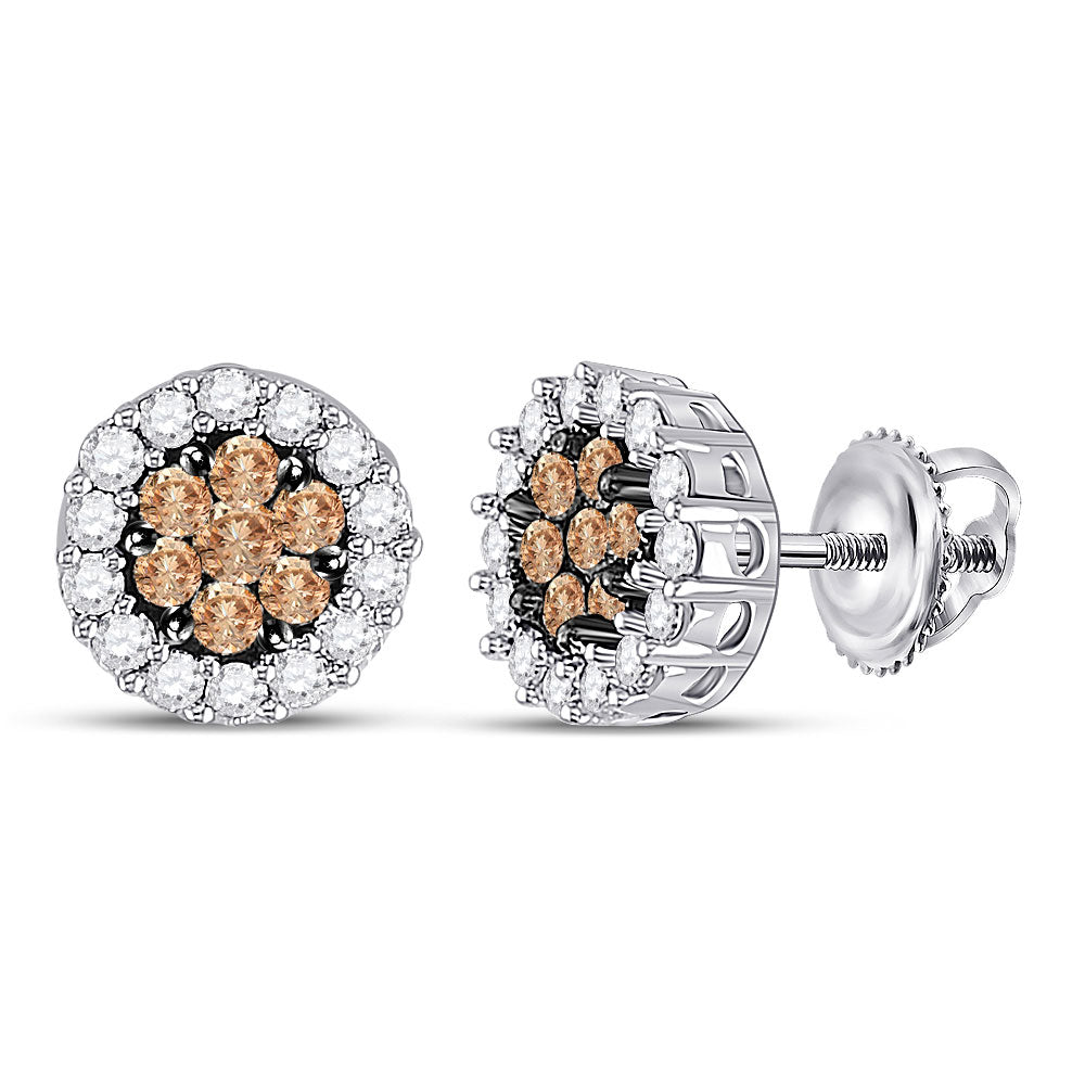 14kt White Gold Womens Round Brown Diamond Flower Cluster Earrings 3/4 Cttw